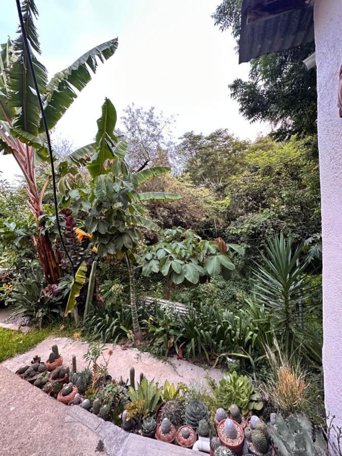 Cabana Campestre En Oaxaca Ngoại thất bức ảnh